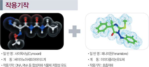 Moamoa SC_Picture_01